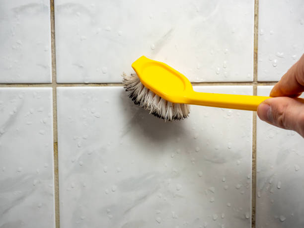 Best Mold Removal Near Me  in Courtland, VA