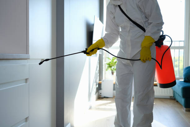 Trusted Courtland, VA Mold Removal Experts