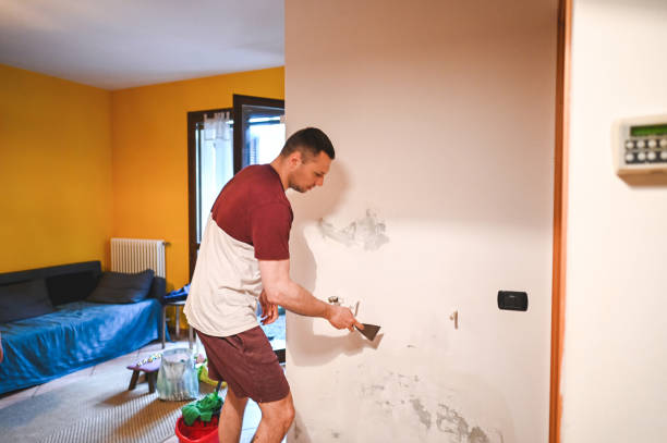 Best Mold Remediation  in Courtland, VA