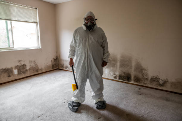 Best Mold Testing  in Courtland, VA